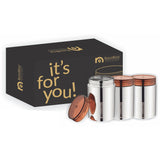 NanoNine Canistore 500 ml x 3 Single Wall Stainless Steel Single Storage Container.