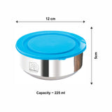 NanoNine Tiffiny 225 ml Double Wall Insulated Stainless Steel Lunch Box.